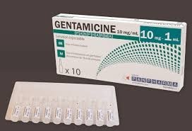 Gentalline 160 mg Injectable