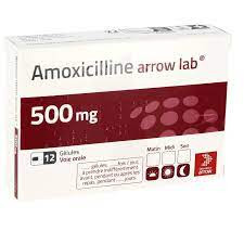 amoxicilline arrow gelules