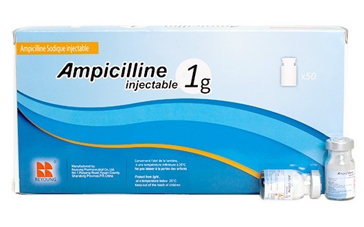 AMPICILLINE 1 g pdre p sol. inj.