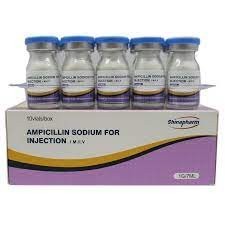 AMPICILLINE 1 g pdre sol. inj. fl/7ml  bte/50