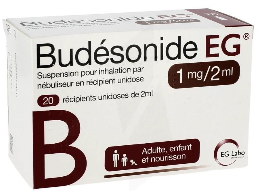 BUDESONIDE 1 mg/2 ml susp. pr inhal. unidose