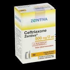 CEFTRIAXONE 500 mg pdre pr sol. inj. IM/IV + solv Fl/5 ml bte/5