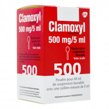 Pharma Dream Clamoxyl 500 Mg 5ml